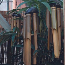 carillon à vent en bambou dans un jardin