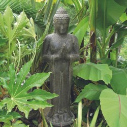 statue bouddha debout