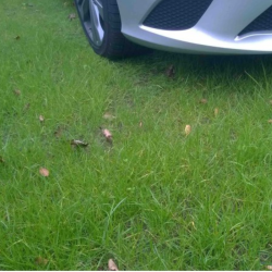 Dalle invisible pour un parking vert et carrossable