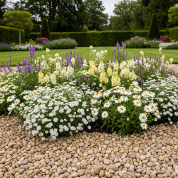 gravier beige clair pour massif fleuri