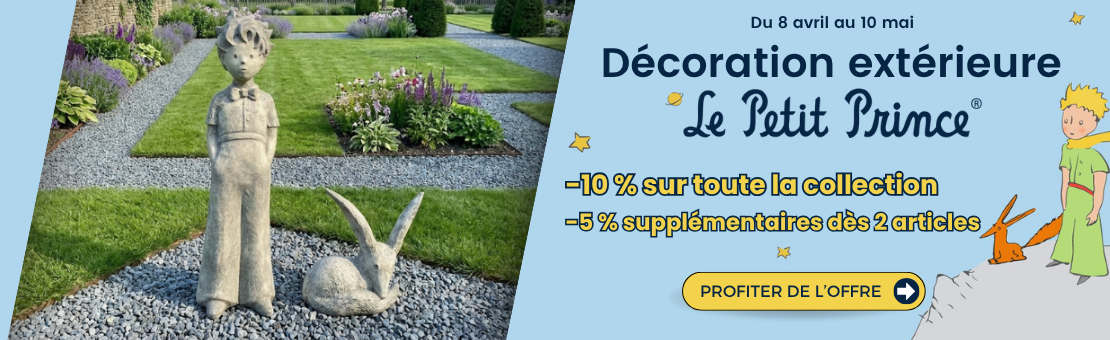 Promo Petit Prince