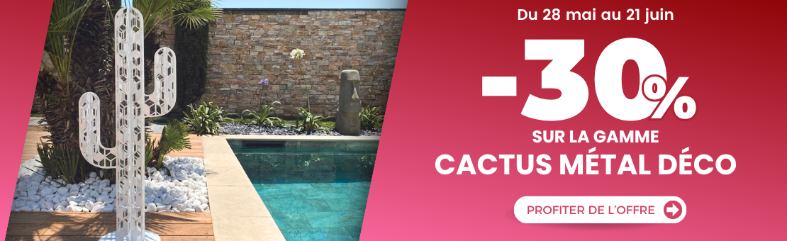 -30% sur les cactus deco